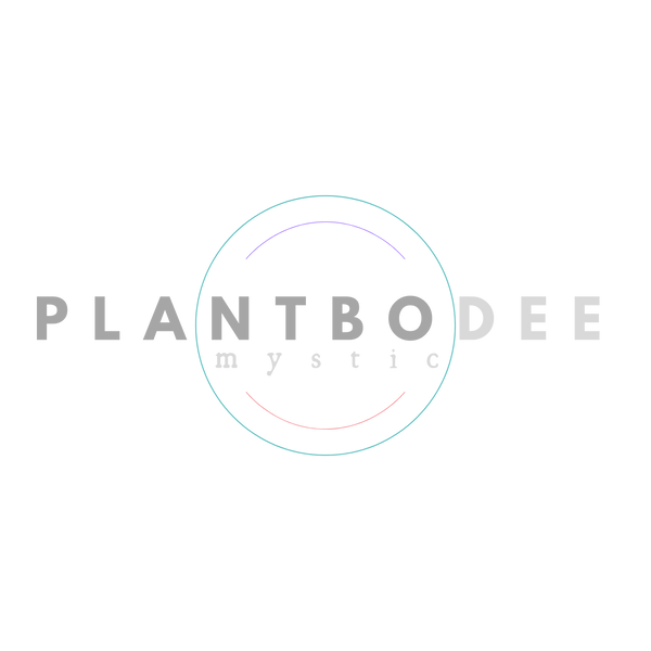 Plant Bodee Mystic 